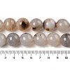 Natural Dendritic Agate Beads Strands G-A248-A07-07-5