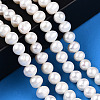 Natural Cultured Freshwater Pearl Beads Strands PEAR-N013-06R-2