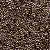 TOHO Round Seed Beads SEED-JPTR11-1704-2