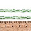 Handmade Lampwork Beads Strands BLOW-K001-01A-18-3