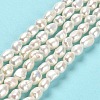 Natural Cultured Freshwater Pearl Beads Strands PEAR-E016-066-2