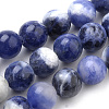 Natural South Africa Sodalite Beads Strands G-S259-35-10mm-1
