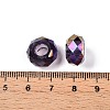 Transparent Glass European Beads GPDL-N005-D14mm-A16-3