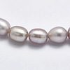 Natural Cultured Freshwater Pearl Beads Strands PEAR-F007-71B-3