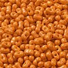 Baking Paint Glass Seed Beads SEED-K009-01A-24-3