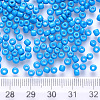 8/0 Baking Paint Glass Round Seed Beads SEED-S036-01B-11-3