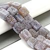 Natural Weathered Agate Beads Strands G-Q169-B04-01-2