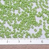 MIYUKI Round Rocailles Beads X-SEED-G007-RR0479-4