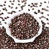 Picasso Glass Seed Beads SEED-N012-10L-2
