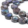 Natural Abalone Shell/Paua Shell Beads Strands SSHEL-G003-5-8x3mm-2