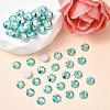 Preciosa&reg MAXIMA Crystal No Hotfix Flatback Stones Y-PRC-NSS10-50005-200-2