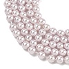Electroplated Shell Pearl Beads Strands BSHE-G041-4mm-06-3