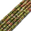 Natural Unakite Beads Strands G-K245-B05-01-1
