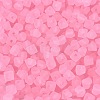 FGB Frosted Transparent Glass Seed Beads SEED-N013-03A-05-3