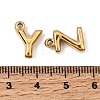 304 Stainless Steel Charms SA-CBA6262-01G-3