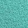 TOHO Round Seed Beads X-SEED-TR11-0920-2