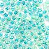 Glass Seed Beads SEED-A032-01M-3