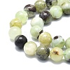 Natural Serpentine Beads Strands G-F715-110B-3