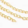 Iron Twisted Chains CH-0.7DK-G-1
