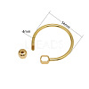Brass Screw Carabiner Lock Charms LS-KK-ZX025-67C-2