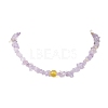 Natural Ametrine Chip Beaded Necklaces NJEW-JN05509-3