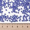 MIYUKI Round Rocailles Beads X-SEED-G008-RR0417L-4