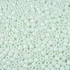Opaque Baking Paint Glass Seed Beads SEED-T008-02M-3