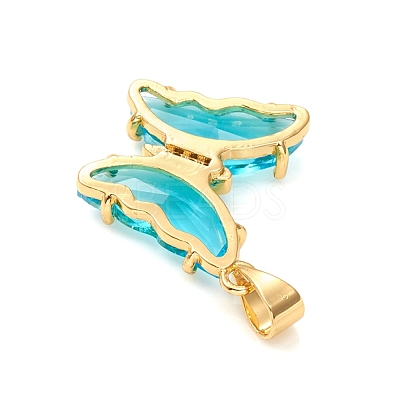 Glass Pendants GLAA-G075-01G-07-1
