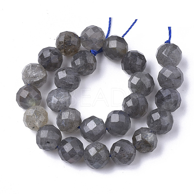 Natural Labradorite Beads Strands G-S345-8mm-005-1