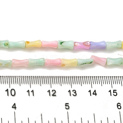 Rainbow Color Dyed Natural Freshwater Shell Beads Strands X1-SHEL-G018-02C-1