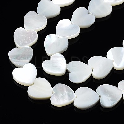 Natural Trochid Shell/Trochus Shell Beads Strands X-SSHEL-N034-99A-B01-1
