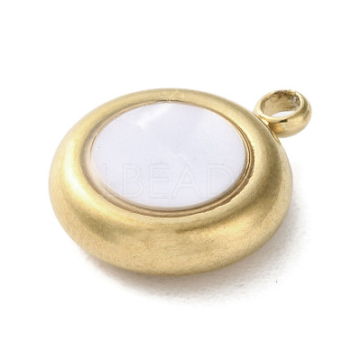 304 Stainless Steel Acrylic Pendants STAS-M091-02A-G-1