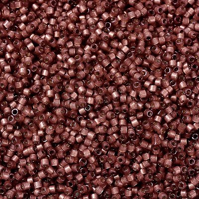 MIYUKI Delica Beads SEED-X0054-DB2179-1