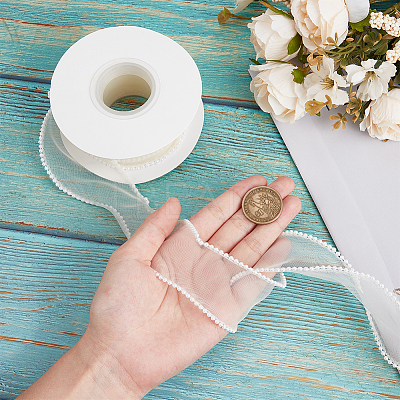Polyester Organza Ribbons SRIB-WH20020-004B-1