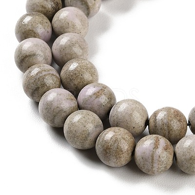 Natural Rainbow Alashan Agate Beads Strands G-NH0022-A09-02-1