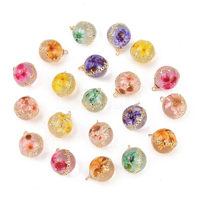 Brass Resin Pendants RE-CBA591C-04G-1