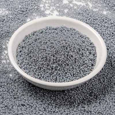 MIYUKI Round Rocailles Beads X-SEED-G009-RR0443-1