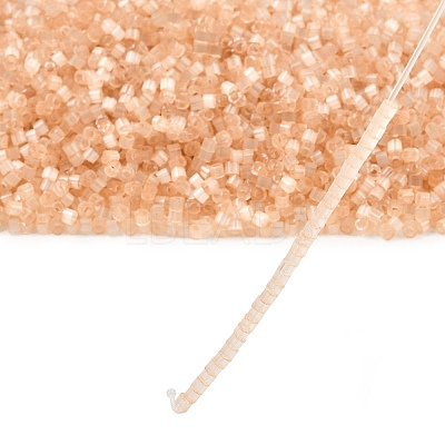 MIYUKI Delica Beads SEED-X0054-DB0674-1