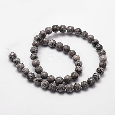 Natural Map Stone/Picasso Stone/Picasso Jasper Bead Strands G-D840-60-6mm-1