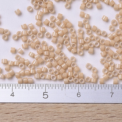 MIYUKI Delica Beads SEED-MY11-DB0208-1