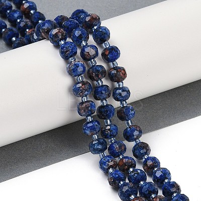 Natural Sesame Jasper Dyed Beads Strands G-H057-A21-04-1
