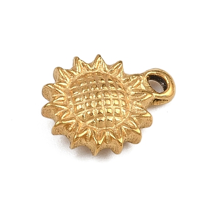304 Stainless Steel Charms STAS-G363-12G-1