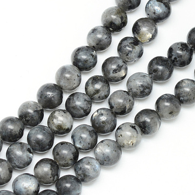 Natural Larvikite Beads Strands X-G-R345-6mm-33-1