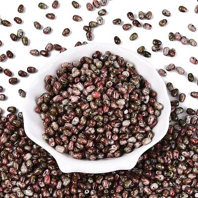 Picasso Glass Seed Beads SEED-N012-10L-1