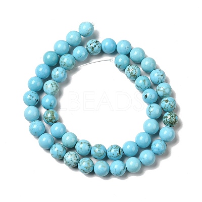 Dyed & Heated Natural Magnesite Beads Strands G-G924-01B-02-1