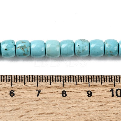 Natural Magnesite Beads Strands G-P598-C01-01A-1