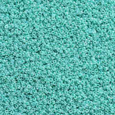 TOHO Round Seed Beads X-SEED-TR11-0920-1