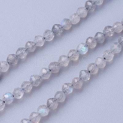 Natural Labradorite Beads Strands G-F619-15-3mm-1