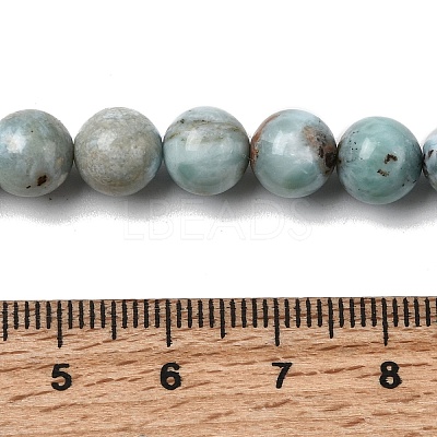Natural Larimar Beads Strands G-B156-A01-8mm-1