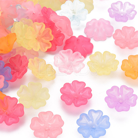Transparent Frosted Acrylic Bead Caps MACR-S371-04A-1